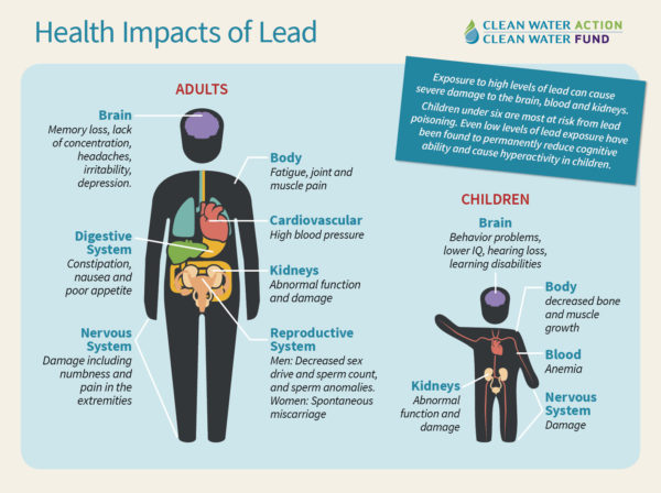 Health Impacts of lead in drinking water